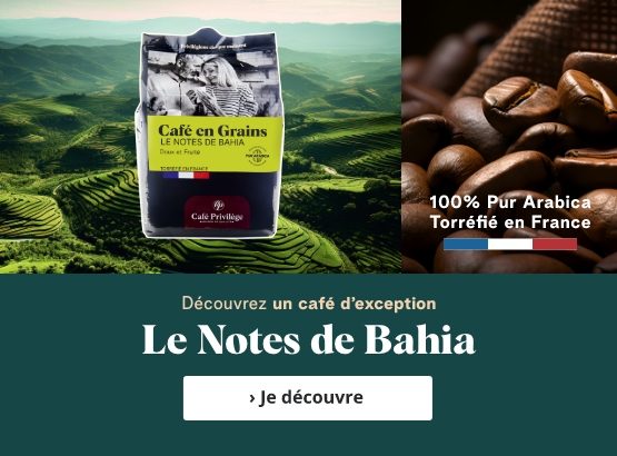 Notes de Bahia