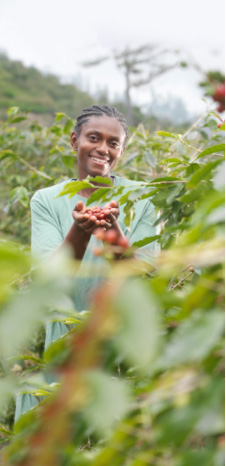 Le caf&eacute; &agrave; travers le monde