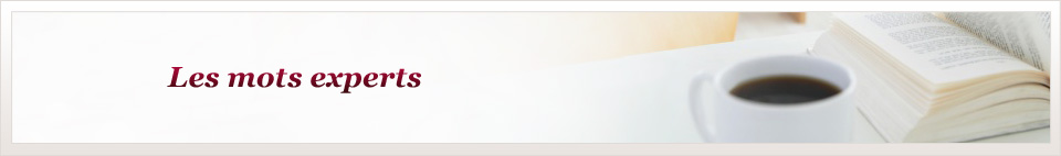 Les mots experts