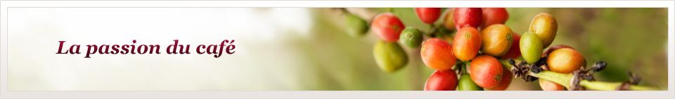 La passion du caf&eacute;