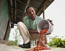 Les pays producteurs