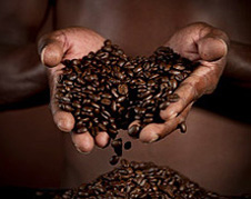 Le travail de l'homme