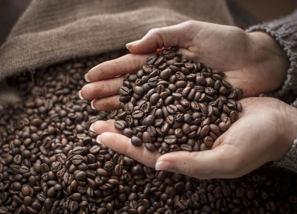 Conseils pour moudre son café en grains au moulin automatique
