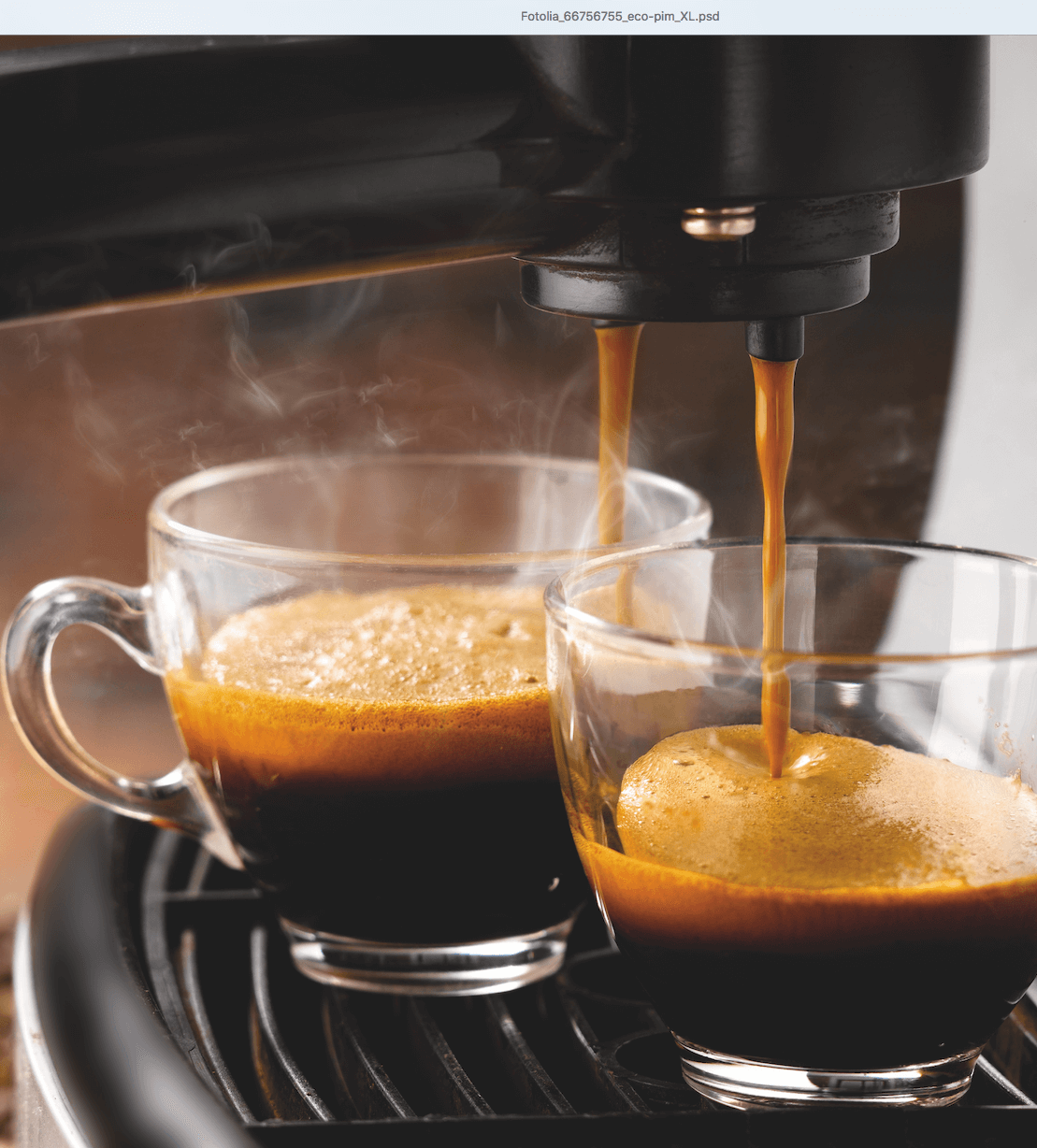 Machine à café filtre - 16 litres
