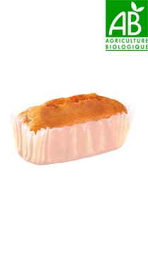 Mini cakes bio aux fruits